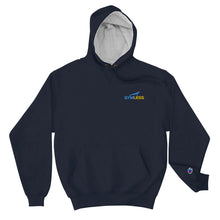Load image into Gallery viewer, Embroidered Champion Hoodie
